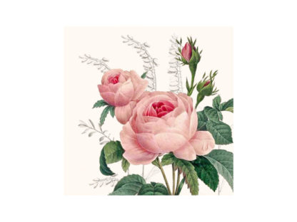 1209-18003-Wonderful-Rose.jpg