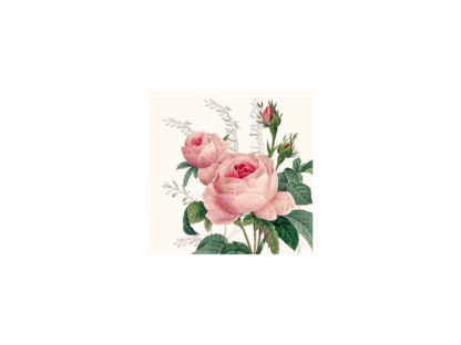 1209-18003-Wonderful-Rose-k.jpg