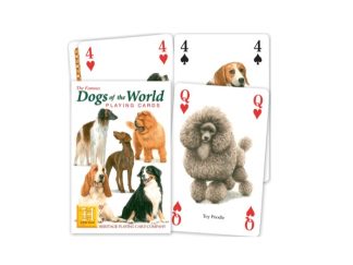 Kortlek Hund