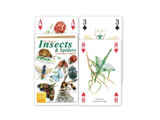 Kortlek Insekter