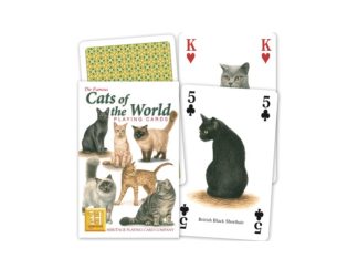 Kortlek Katt