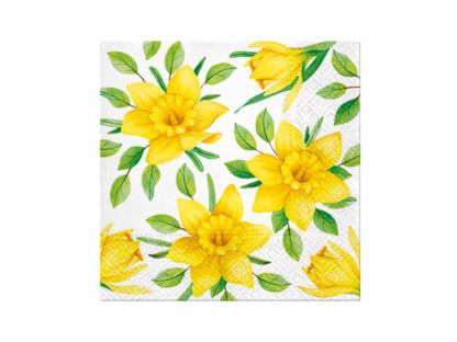 Servett Daffodils