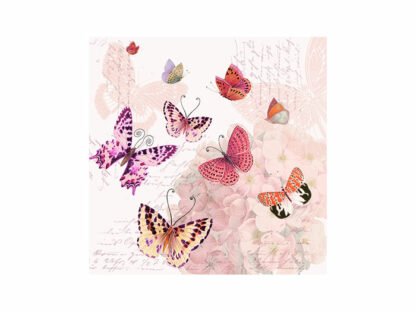 1211-22014-Butterfly-Romanc