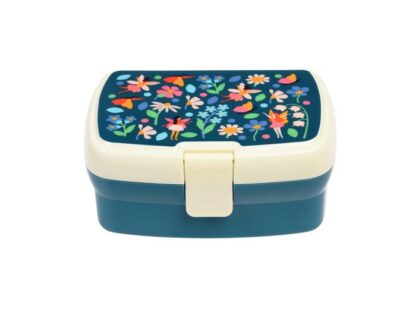 29499_1-fairies-in-garden-lunch-box-with-tray