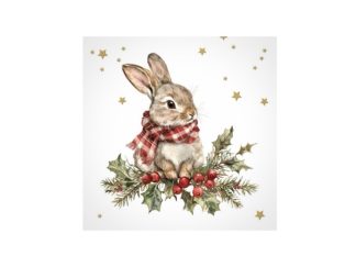Servett Winter Bunny