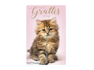 Dubbelt Kort Gratulation Nr. 800A