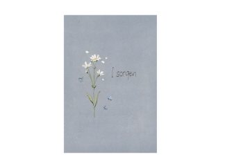 Dubbelt Kort Sorg Nr. 869C