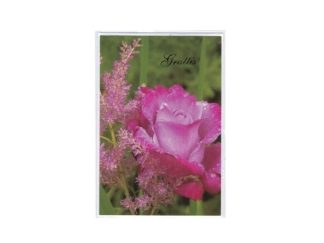 Dubbelt Kort Gratulation Nr. 812B