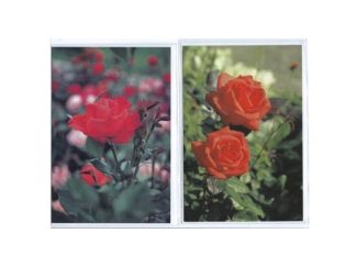 Dubbelt Kort Nr. 812D