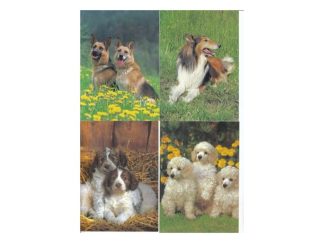 Vykort Nr. 495301 ERBJUDANDE