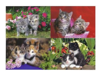 Vykort Nr. 495408 ERBJUDANDE