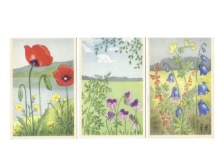 Vykort Blommor 5-olika Äkta Gamla