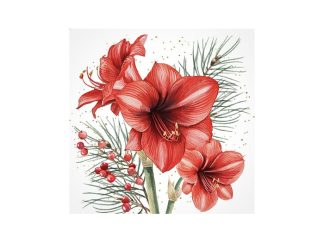 Servett Amaryllis