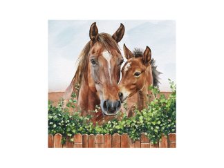 Servett Horse Family