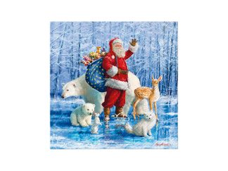 Servett Santa Claus With Animals